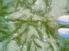 -马家湾湿地公园
