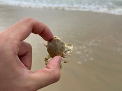 -Sasa的海(蜈支洲岛后海店)