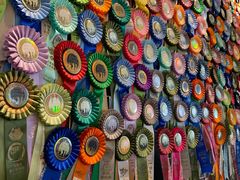 -more than meow吴止猫主题餐厅(承德 中船汇店)