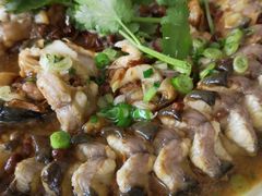 -百里鲜(羚羊峡古栈道森林公园店)