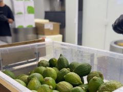 -introlemons(北京西单更新场店)