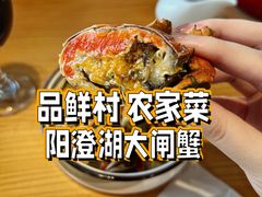 -品鲜村农家菜·阳澄湖大闸蟹(总店)