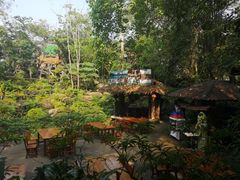 -绿光森林餐厅