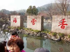 -香雪海
