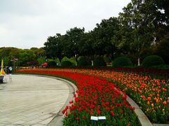 -上海鲜花港
