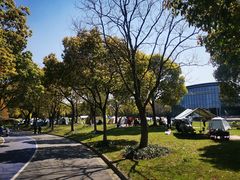-上海吴淞炮台湾国家湿地公园