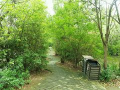 -溱湖国家湿地公园