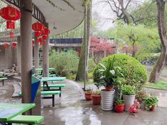 -绿野餐厅(上海动物园店)
