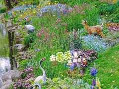 -上海共青森林公园