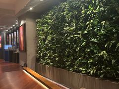 -上海外滩英迪格酒店