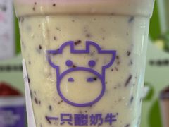 -一只酸奶牛(春熙路店)