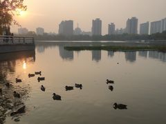 -莲花池公园