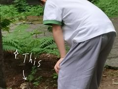 -五营红松林海景区