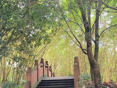 -水濂山森林公园