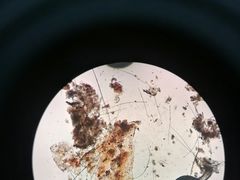 -艾贝尔宠物诊疗