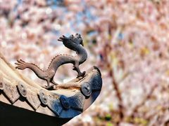 -潭柘寺景区