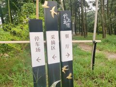 -竹上云想餐厅民宿