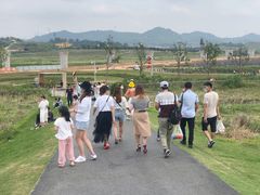 -光明小镇欢乐田园