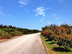 iphone_upload_pic-太湖渔洋山