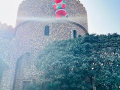 -J Create城市露营咖啡·简餐·宠物(上海动物园店)