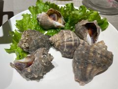 -大锅强·蒸海鲜青岛菜(城市阳台店)