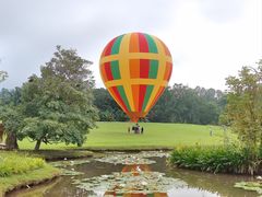 -中国科学院西双版纳热带植物园