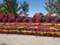 -大兴滨河森林公园