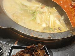 -老夏老火锅(西安南路总店)