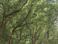 -忠山公园