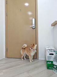 -HEYAN荷妍专业脱毛连锁机构