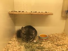 -龙猫仔乐园(惠福东路店)