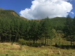 iphone_upload_pic-塞罕坝国家级自然保护区