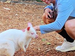 -费瑟代尔野生动物园