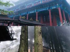 -武陵山森林公园