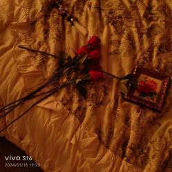 -WAVE SODA摄影工作室