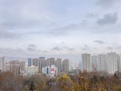 -青藏高原野生动物园