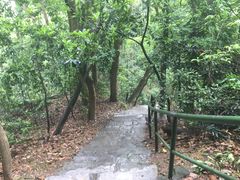 -白马涧龙池景区