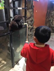 -酷嗒动物文化乐园(cutezoo西溪乐天城店)