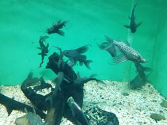 -常州海昌海洋探索馆