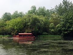 -溱湖国家湿地公园