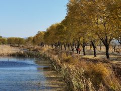 -野鸭湖国家湿地公园