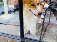 -the rug 飞毯 (朝阳公园店)