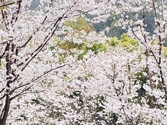 -临平公园(临平街道)