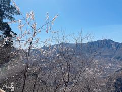 -北京上方山国家森林公园