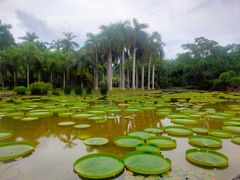 -中国科学院西双版纳热带植物园