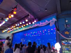 -烟台海昌鲸鲨海洋公园