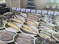 -韩记海鲜饺子(隆仁世家店)