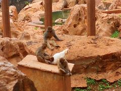 -昆明动物园