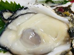 -夫子道刺身