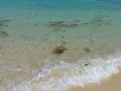 -东姑阿都拉曼海洋公园